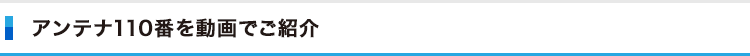 動画でご紹介