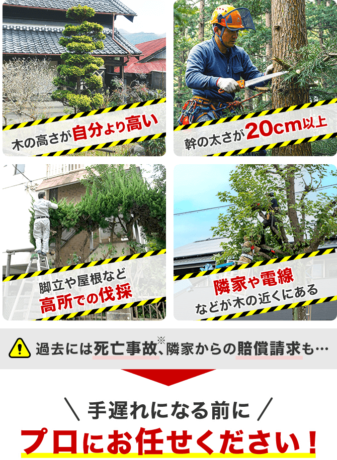 手遅れになる前にプロにお任せください!