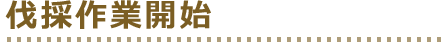 伐採作業開始