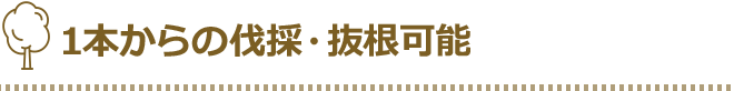 1本からの伐採・抜根可能