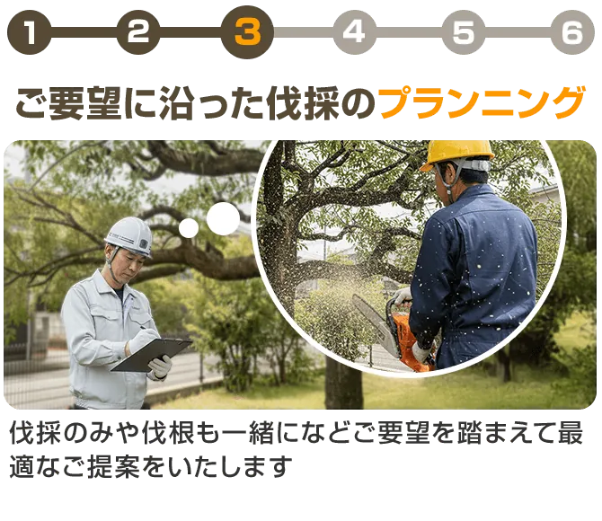 ご要望に沿った伐採のプランニング
