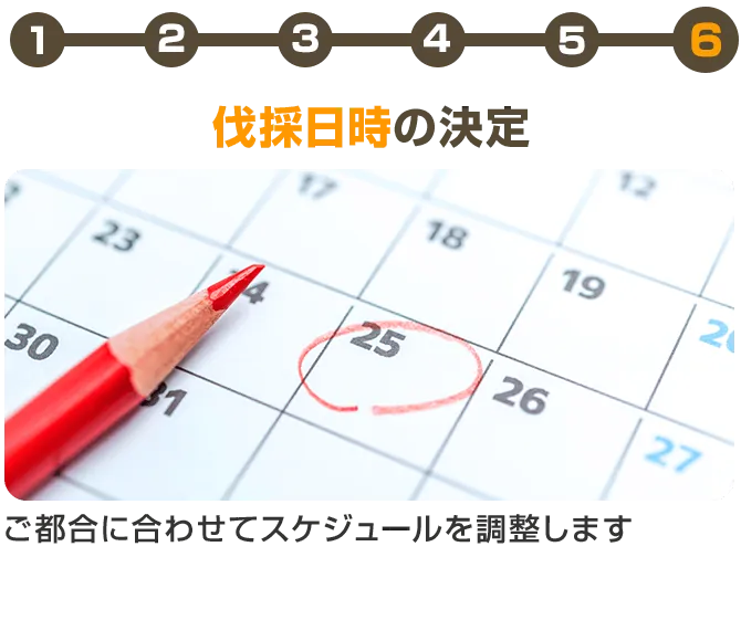 伐採日時の決定