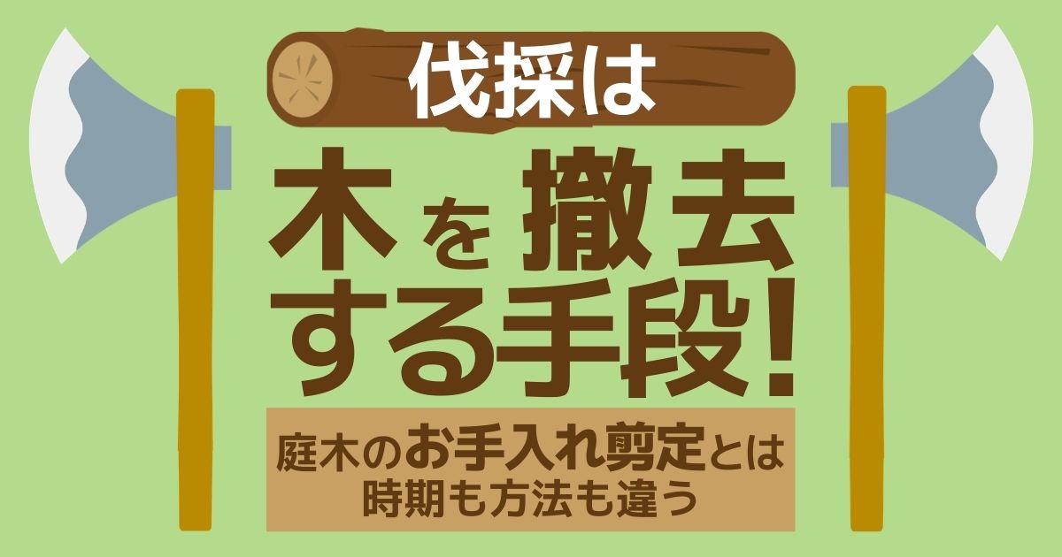 剪定と伐採は意味も目的も違う｜適正時期と庭木のお手入れ費用