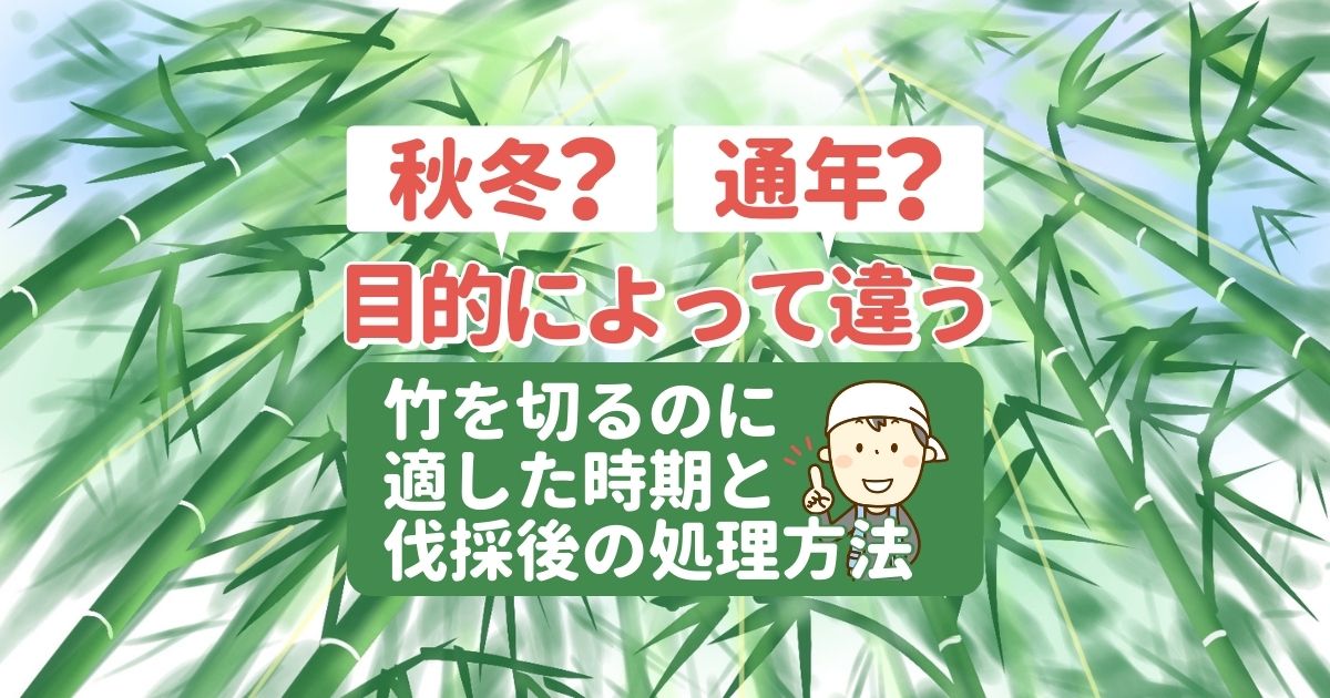 秋冬？通年？目的によって違う竹を切るのに適した時期と伐採後の処理方法