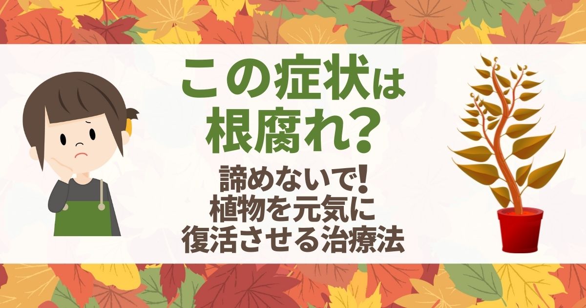 この症状は根腐れ？ 諦めないで！植物を元気に復活させる治療法