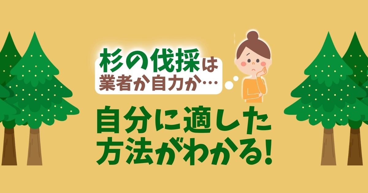 【杉の伐採】費用や業者を選ぶ方法、花粉症対策までをまとめて解説