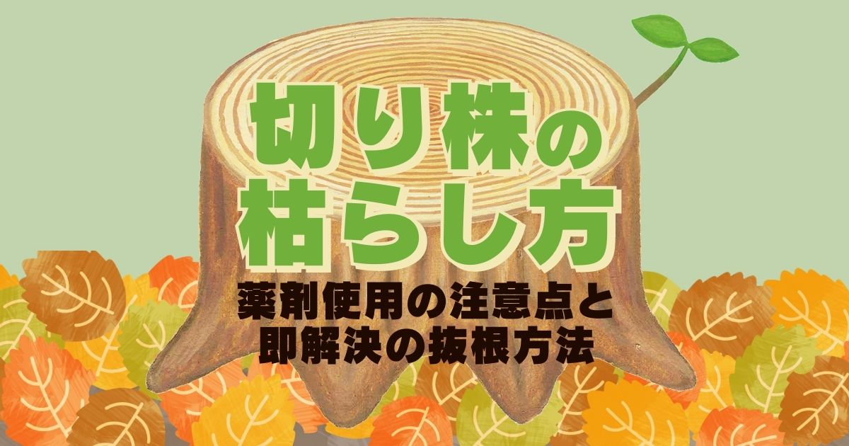 切り株を枯らすなら薬剤が簡単！短期間で枯らして安全でスッキリしたお庭を手に入れる方法