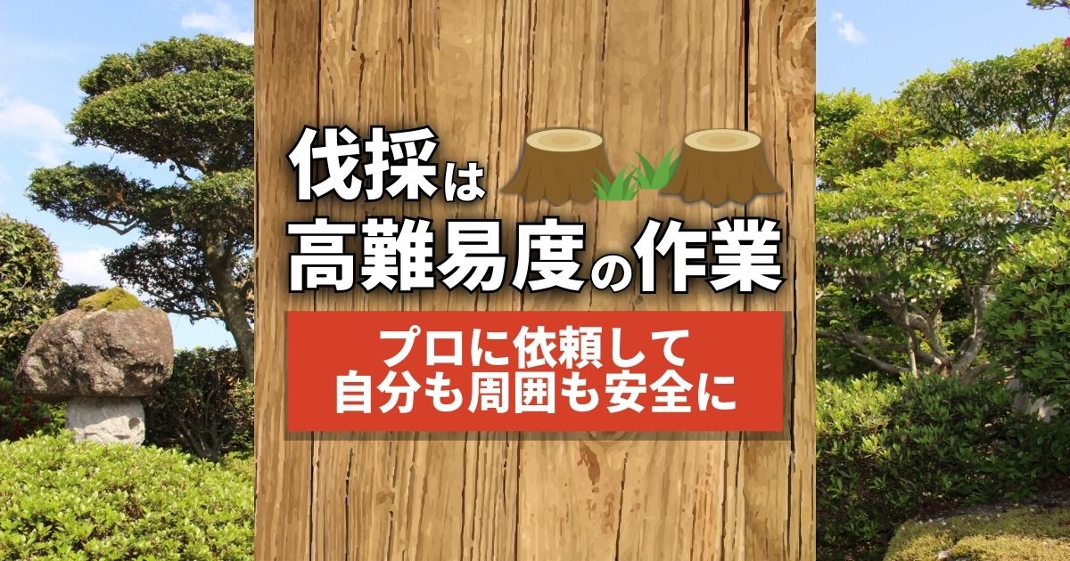 木の伐採の方法と費用を解説！小さな庭木なら自分で伐採できるかも