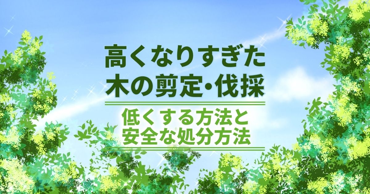 【早期解決】高くなりすぎた木を剪定・伐採して高くなるのを止める方法