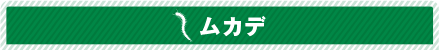 ムカデ