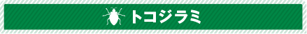 トコジラミ