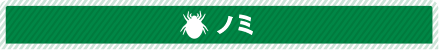 ノミ