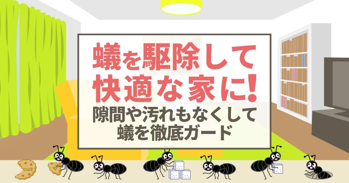 蟻を駆除して快適な家に！ 隙間や汚れもなくして蟻を徹底ガード