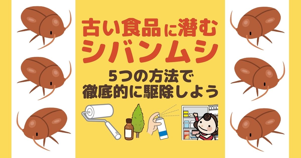 古い食品に潜むシバンムシ 5つの方法で徹底的に駆除しよう