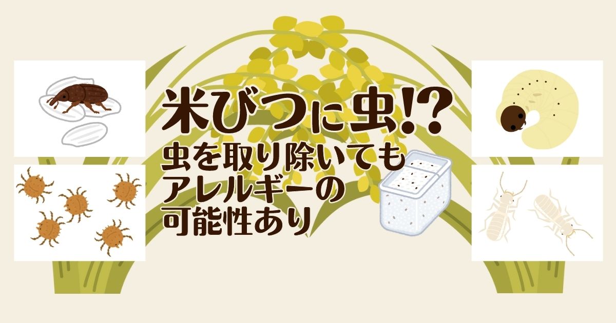 "米びつに虫！？ 虫を取り除いてもアレルギーの可能性あり"