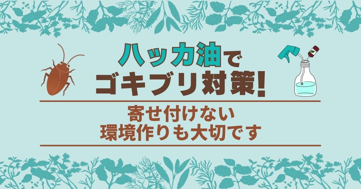 "ハッカ油でゴキブリ対策！ 寄せ付けない環境作りも大切です"