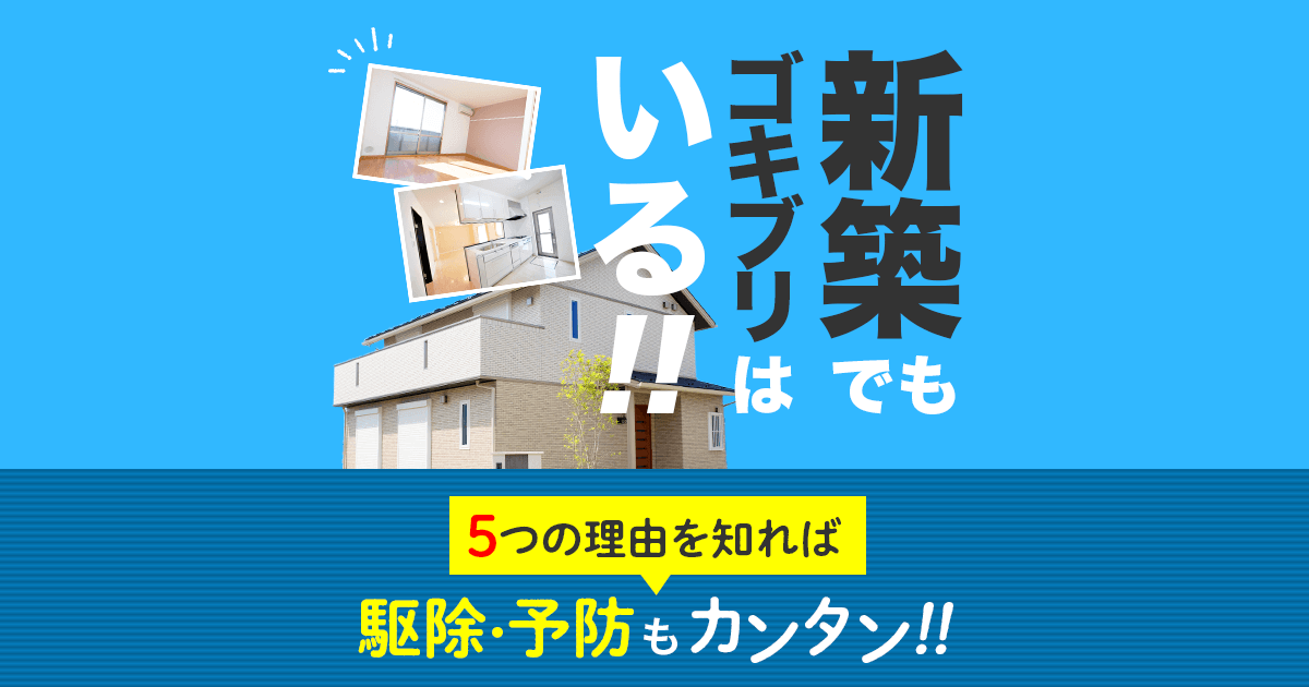 新築でもゴキブリはいる！５つの理由を知れば駆除予防もカンタン