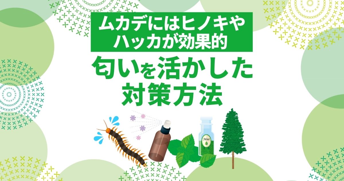 "ムカデにはヒノキやハッカが効果的 匂いを活かした対策方法"