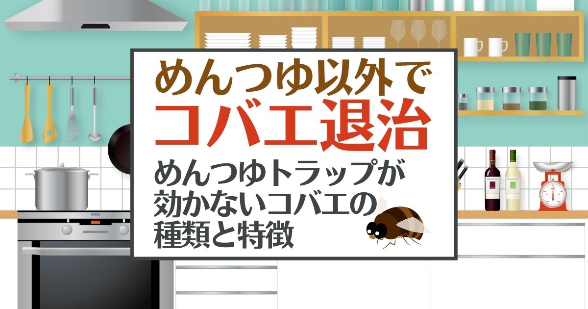 めんつゆ以外で　コバエ退治 めんつゆトラップが効かないコバエの種類と特徴