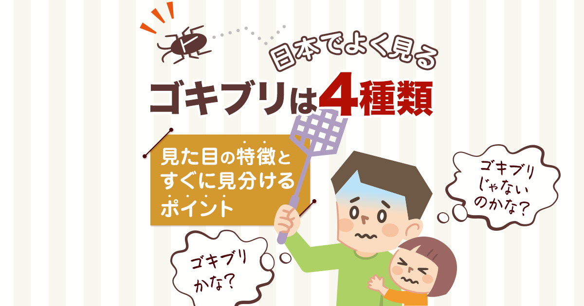 ゴキブリの種類がすぐわかる！日本でよく見るゴキブリの特徴と見分け方