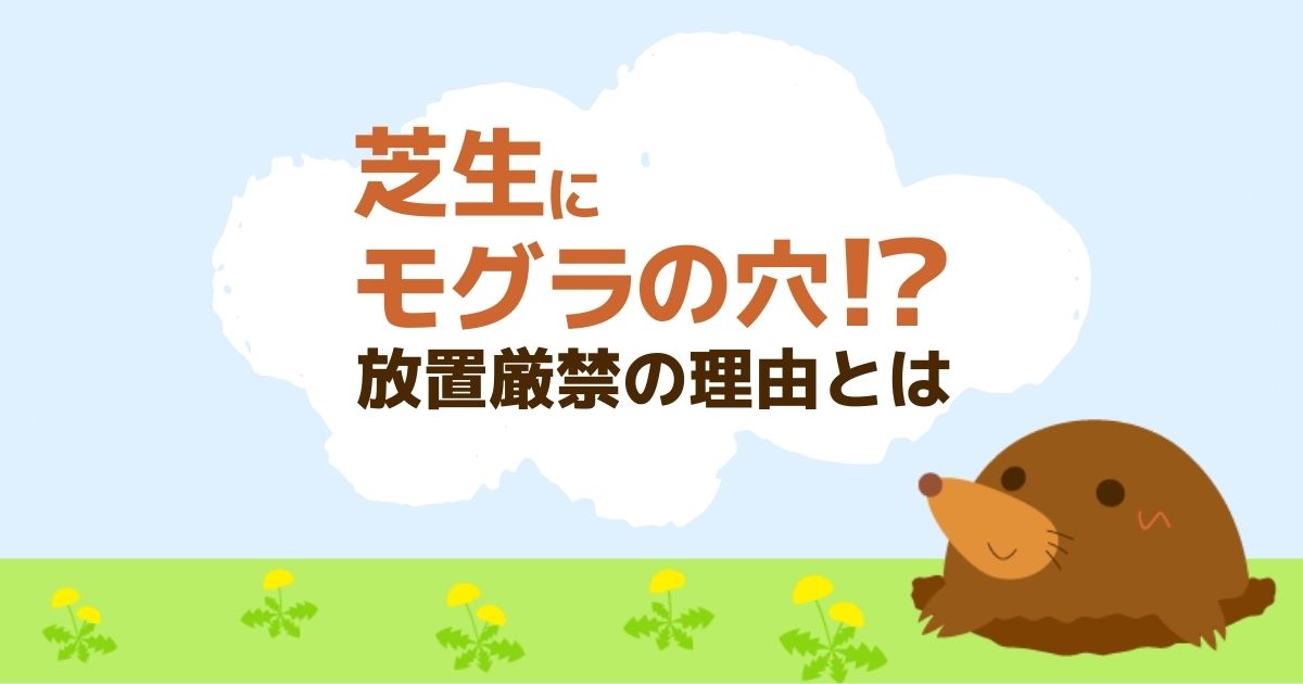 モグラが庭にいるなら早めの対処を！自分でできる対策と穴の放置がNGな理由