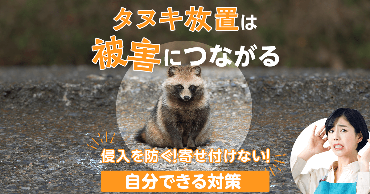 タヌキを見つけたら被害の予防対策を！効果的な追い出し＆駆除方法