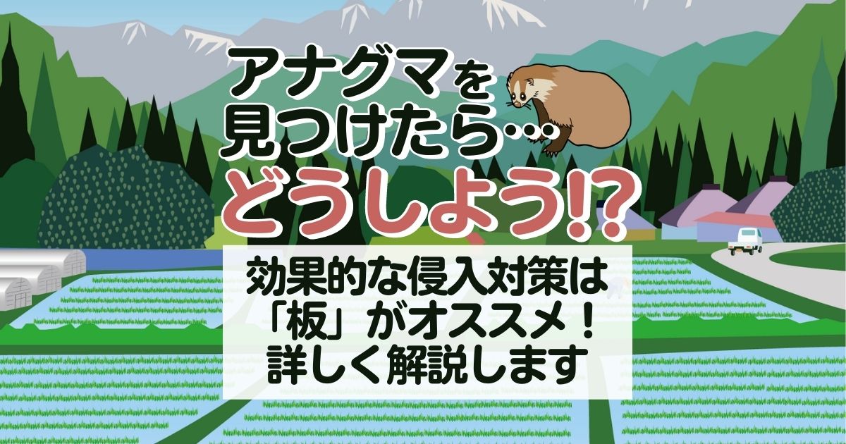 アナグマを見つけたら被害にあう前に侵入防止！すぐできる対策から駆除まで解説