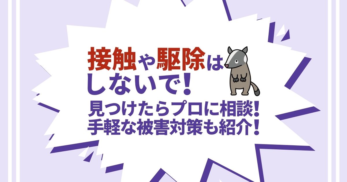 ハクビシンを見つけたら放置も捕獲もNG！法的理由と正しい侵入対策