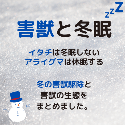 冬眠しない害獣もいる！冬も油断できない害獣の侵入被害と対策