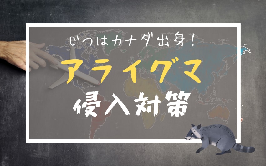 アライグマはどこから来た？日本の野生にいる輸入外来種の問題