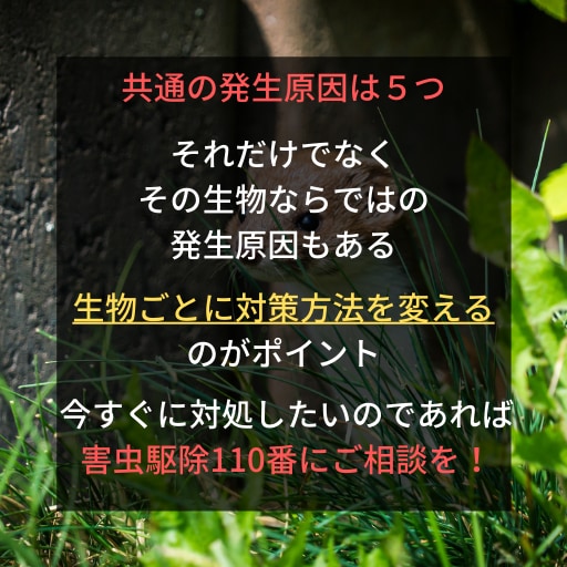 害獣が発生する原因｜その理由と対策方法を理解すれば農作物の被害は防げる