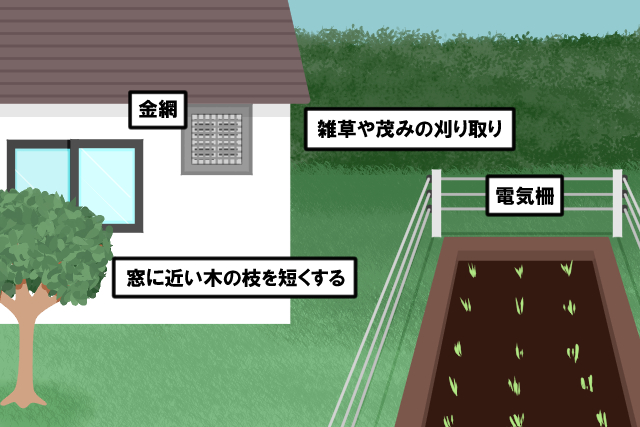 アライグマ　侵入対策