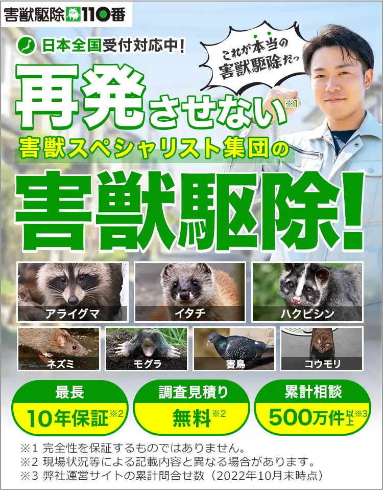 再発させない害獣スペシャリスト集団の害獣駆除！