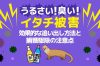 うるさい!臭い!イタチ被害 効果的な追い出し方法と捕獲駆除の注意点