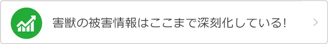 害獣の被害情報はここまで深刻化している!