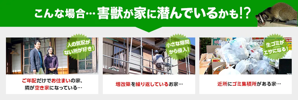 隣が空き家、増改築を繰り返している、近所にごみ集積所がある