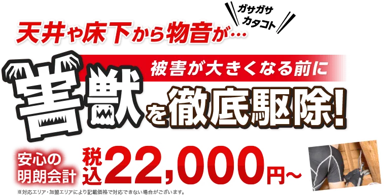 プロの技術で徹底駆除!! 現地調査無料 追加料金不要
