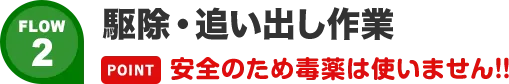 駆除・追い出し作業!!安全のため毒薬は使いません!!