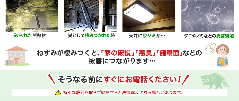 ねずみが棲みつくと「家の破壊」、「悪臭」などの被害につながります…そうなる前にすぐにお電話ください！