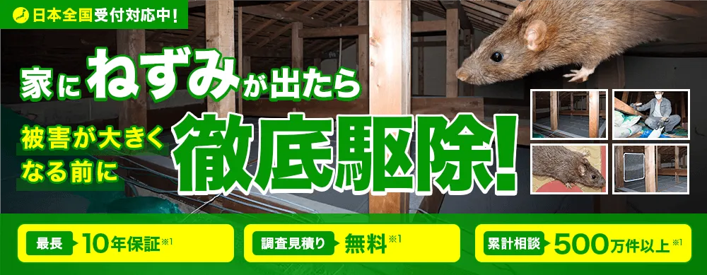プロの技術で徹底駆除!! 現地調査無料 追加料金不要
