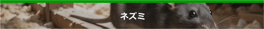 ねずみ