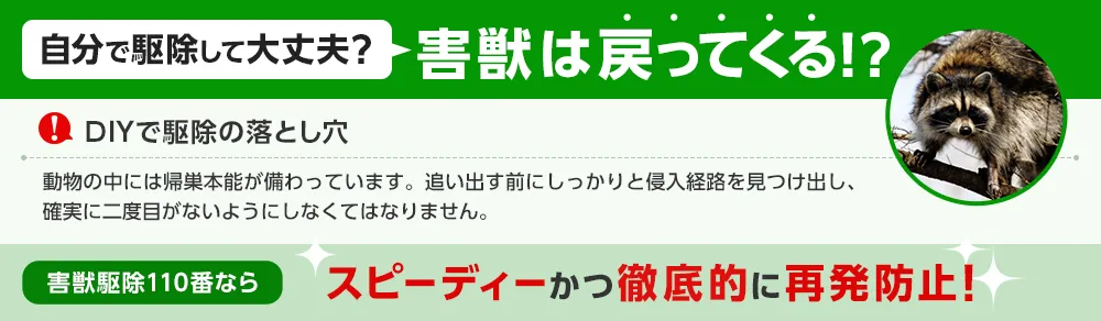 害獣駆除110番ならスピーディーかつ徹底的に再発防止!