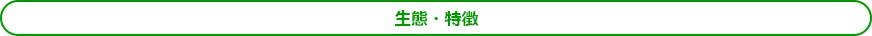 生態・特徴