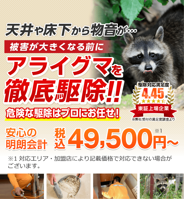 天井や床下から物音が…被害が大きくなる前にアライグマを徹底駆除！危険な駆除はプロにお任せ！