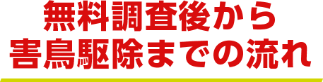 無料調査後から害鳥駆除までの流れ