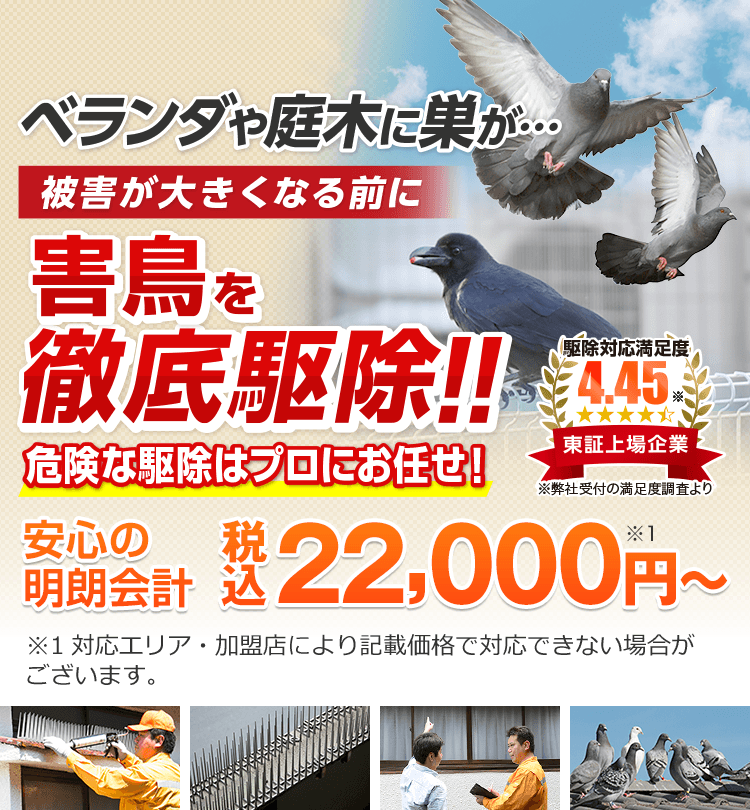 ベランダや庭木に巣が…被害が大きくなる前に害鳥を徹底駆除！危険な駆除はプロにお任せ！