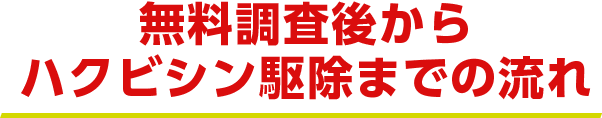 無料調査後からハクビシン駆除までの流れ