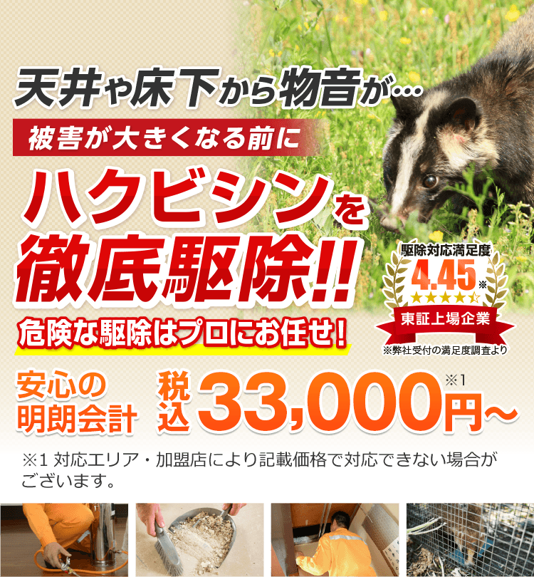 天井や床下から物音が…被害が大きくなる前にハクビシンを徹底駆除！危険な駆除はプロにお任せ！