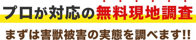 プロが対応の無料現地調査、まずは害獣被害の実態を調べます