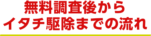 無料調査後からイタチ駆除までの流れ